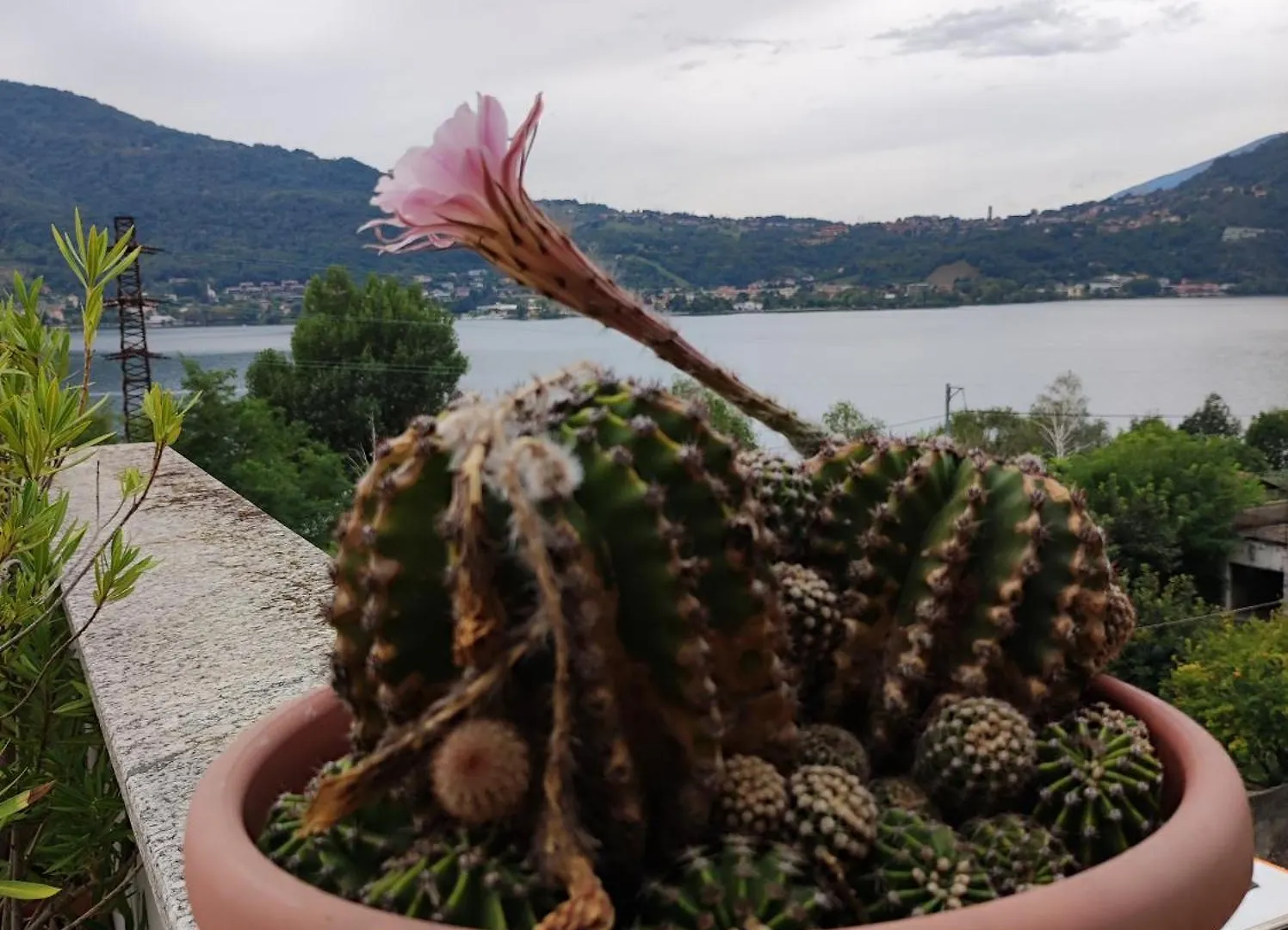 Terrazzo Sul Lago Лекко Апартаменты